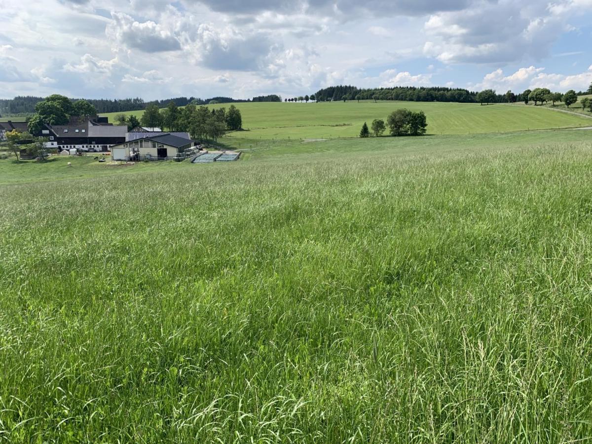 Pension Wittgensteiner Schweiz Bad Berleburg Exteriör bild