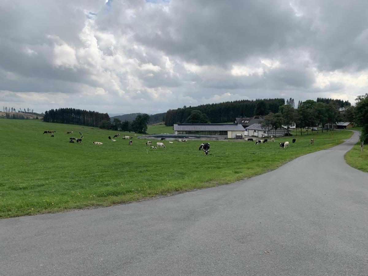 Pension Wittgensteiner Schweiz Bad Berleburg Exteriör bild