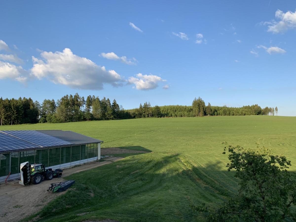 Pension Wittgensteiner Schweiz Bad Berleburg Exteriör bild